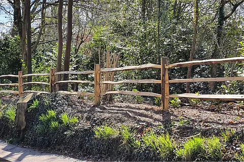 Timber post and rail fencing along woodland border with new planting