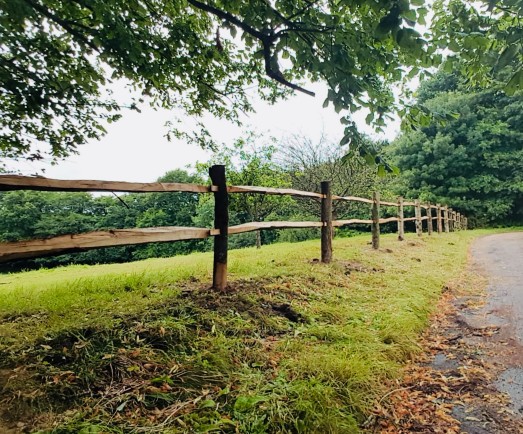 Post and rail fencing 